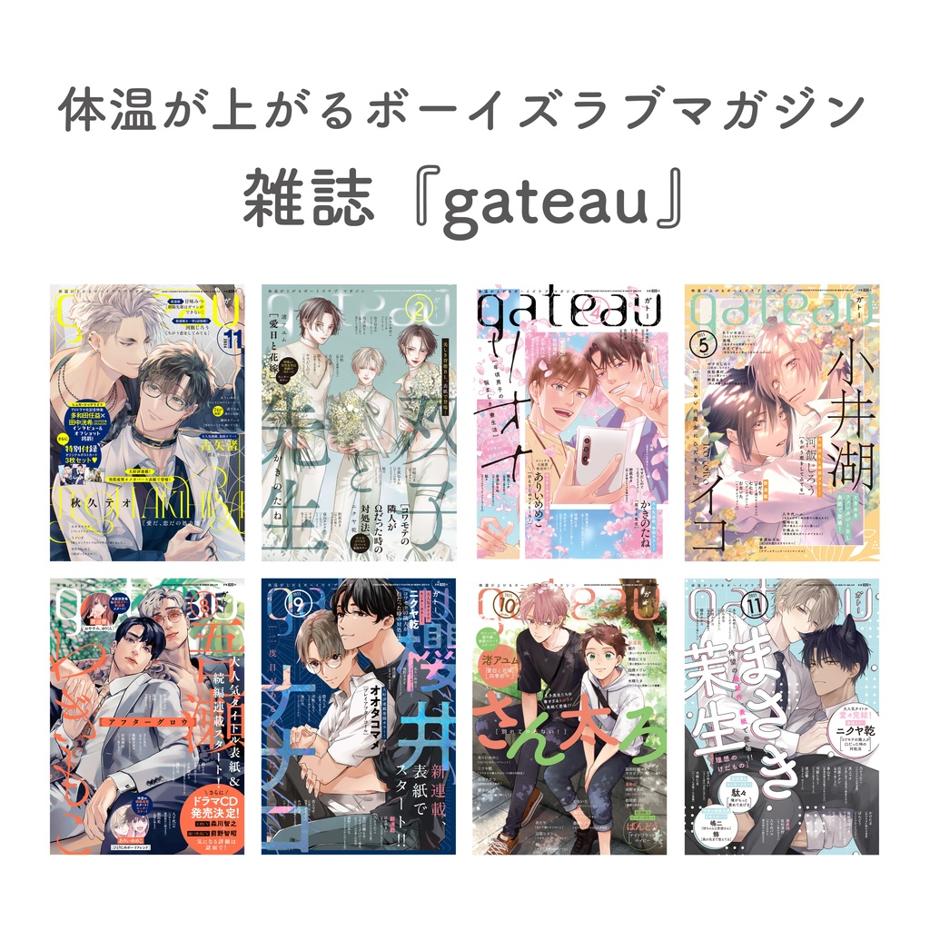 〔雑誌〕『gateau』限定特典付き