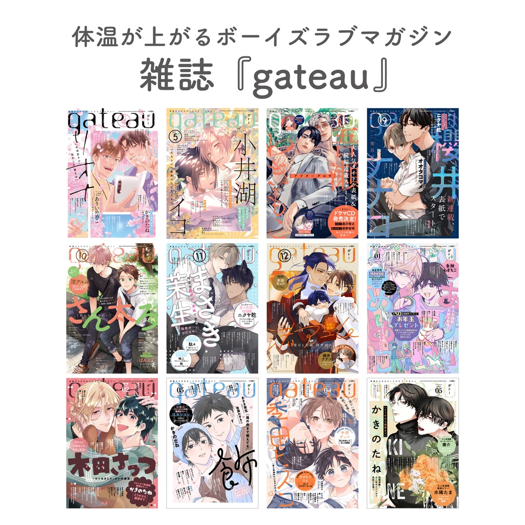 〔雑誌〕『gateau』限定特典付き