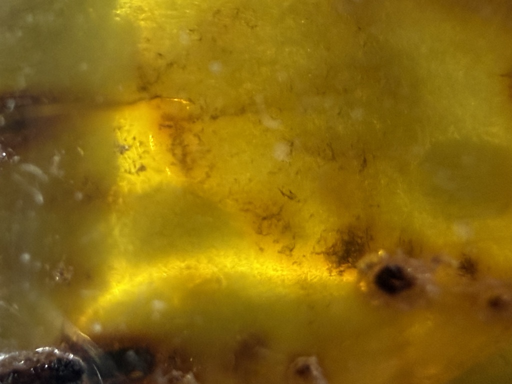 【Vtuber/動画素材】暖色透明テクスチャ（琥珀マクロ）