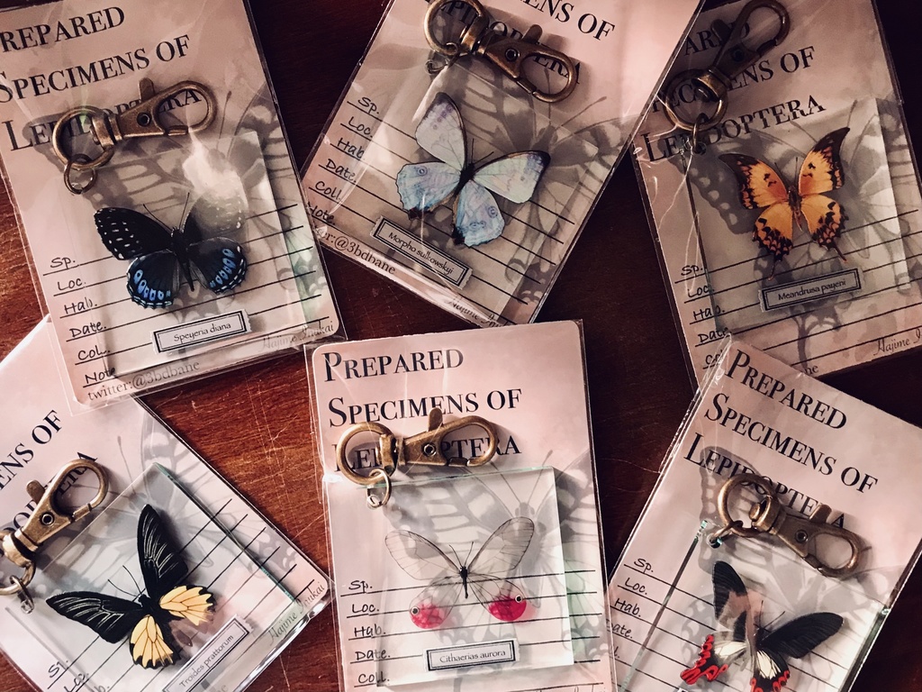 【全21種】蝶のプレパラート風アクキー