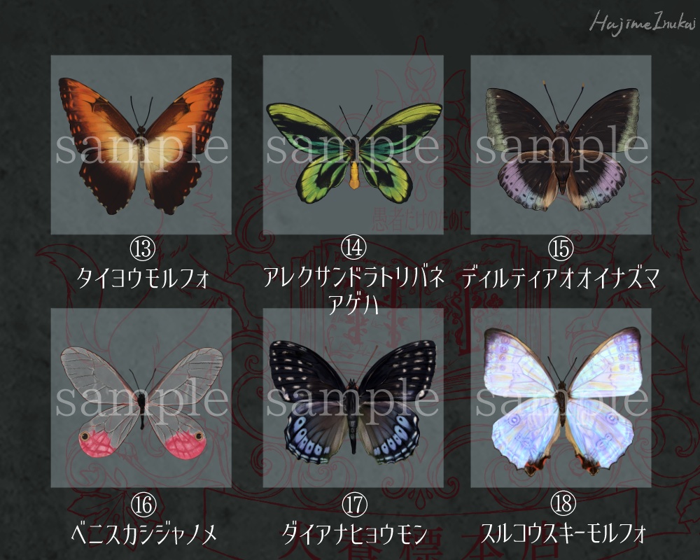 【全21種】蝶のプレパラート風アクキー