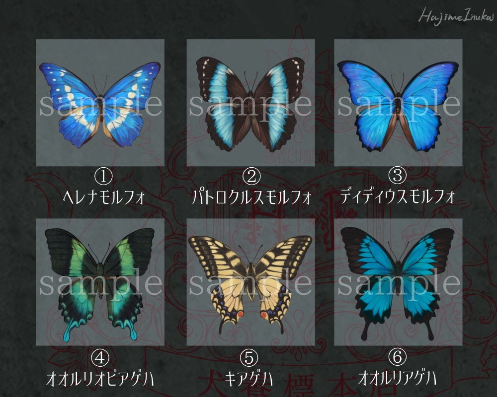 【全21種】蝶のプレパラート風アクキー