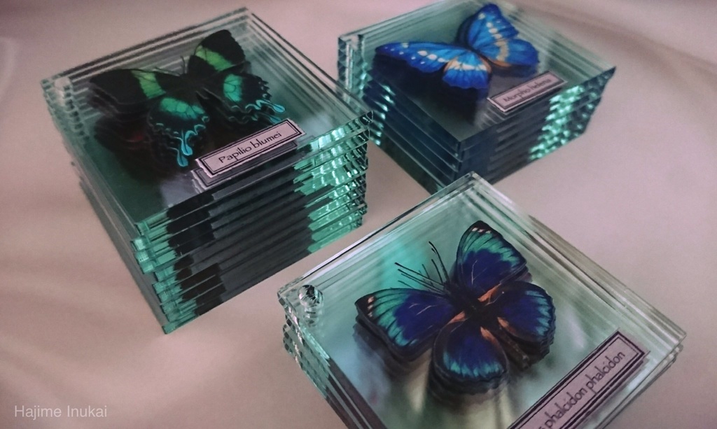 【全21種】蝶のプレパラート風アクキー