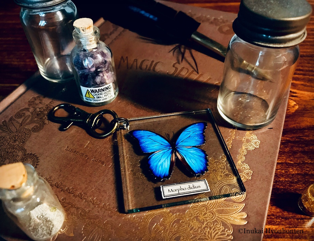 【全21種】蝶のプレパラート風アクキー