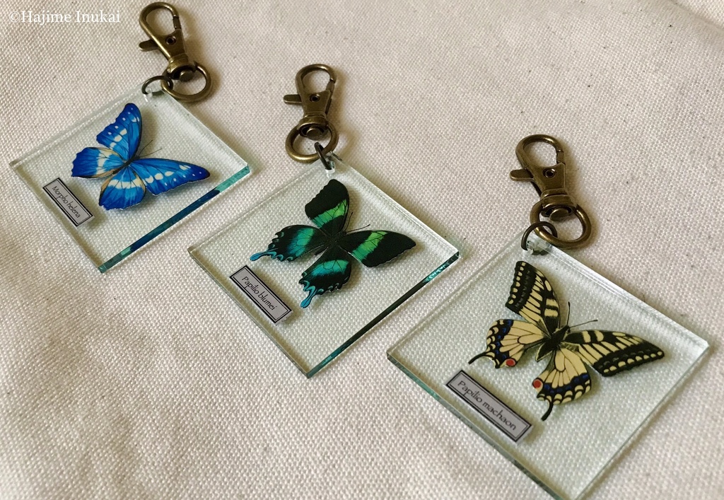 【全21種】蝶のプレパラート風アクキー