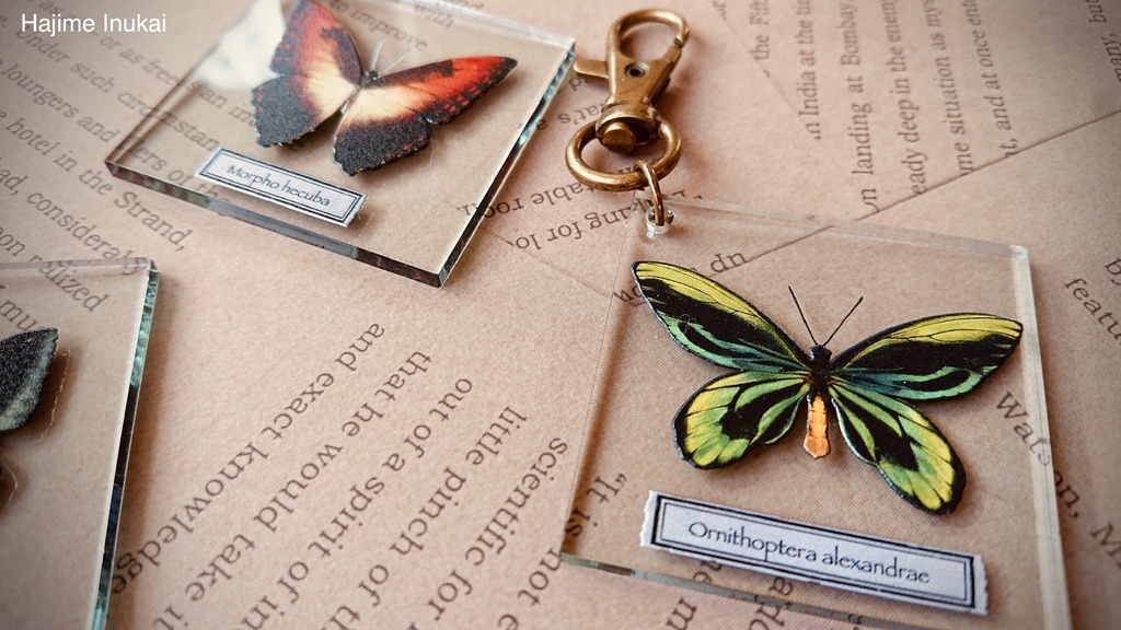 【全21種】蝶のプレパラート風アクキー