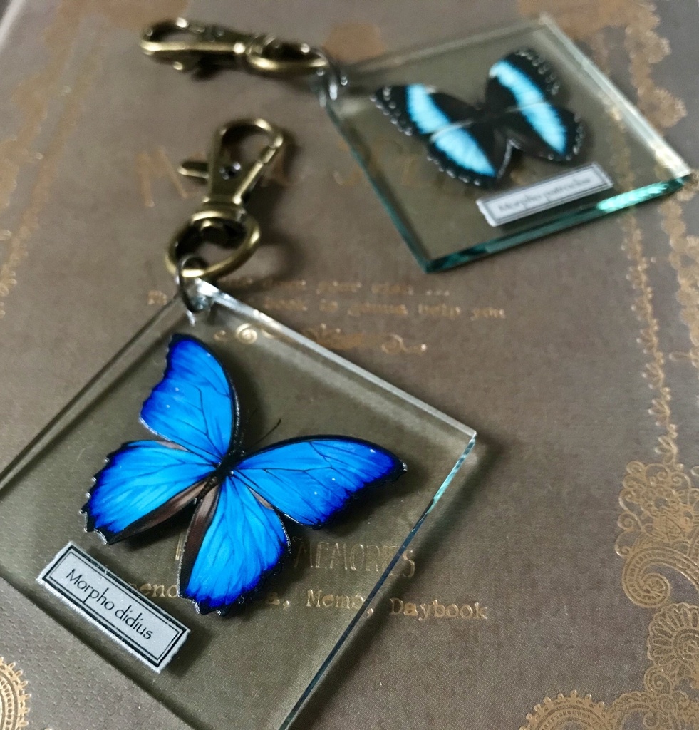 【全21種】蝶のプレパラート風アクキー