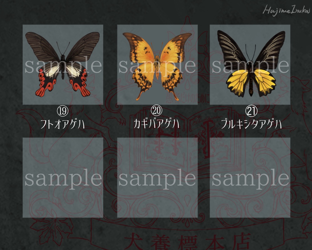 【全21種】蝶のプレパラート風アクキー