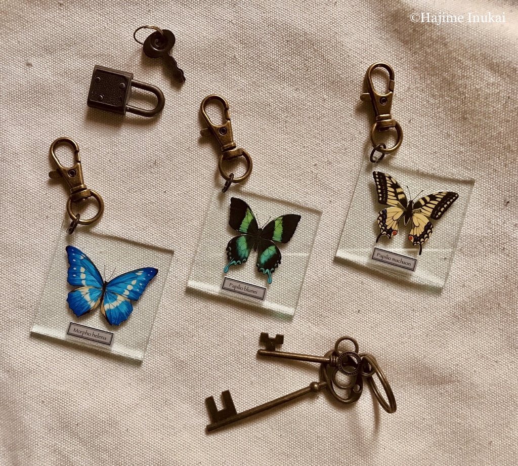 【全21種】蝶のプレパラート風アクキー