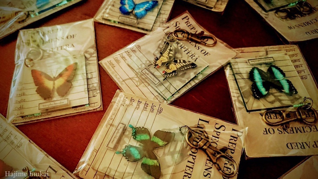 【全21種】蝶のプレパラート風アクキー