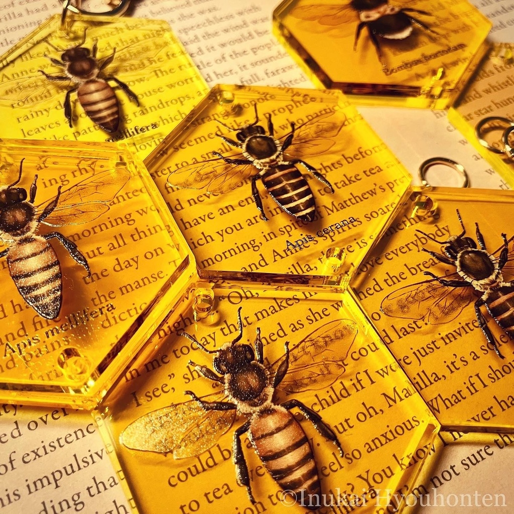 蜜蜂のハニカムアクキー