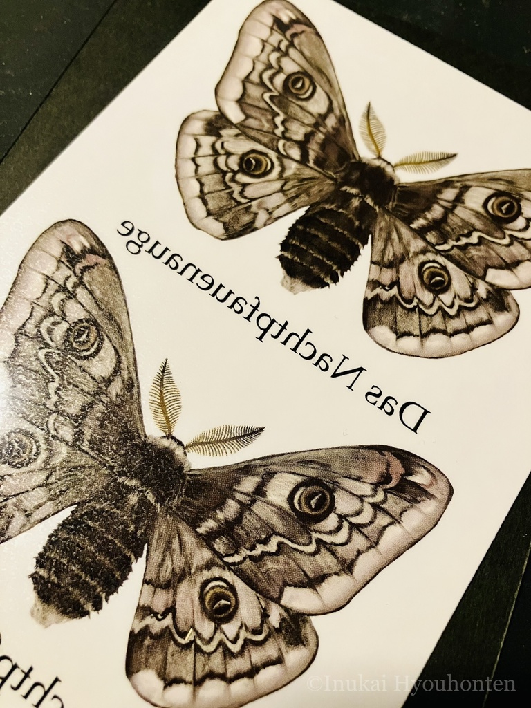 蛾を纏うタトゥーシール