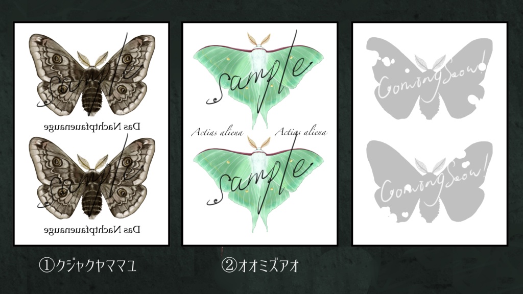 蛾を纏うタトゥーシール