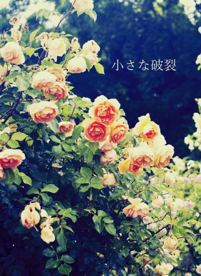 小さな破裂