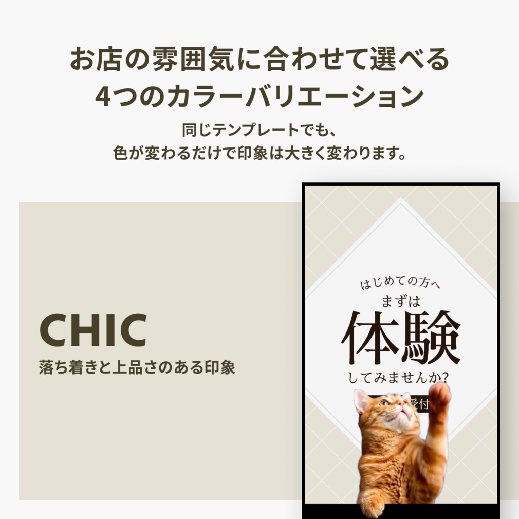 店舗向け|店頭デジタルサイネージ動画テンプレート|猫モーション版・Canva対応