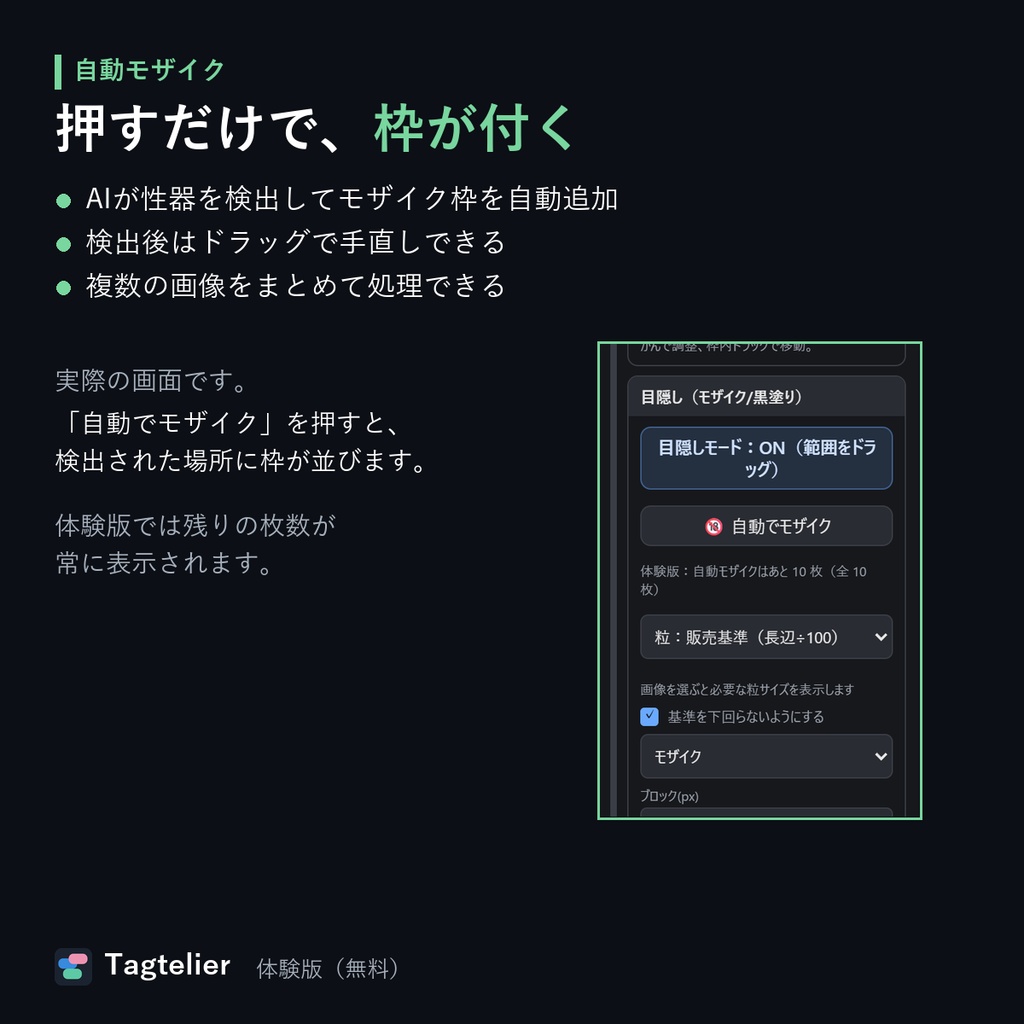 AIが局部を自動検出してモザイク(無料)|Tagtelier 体験版