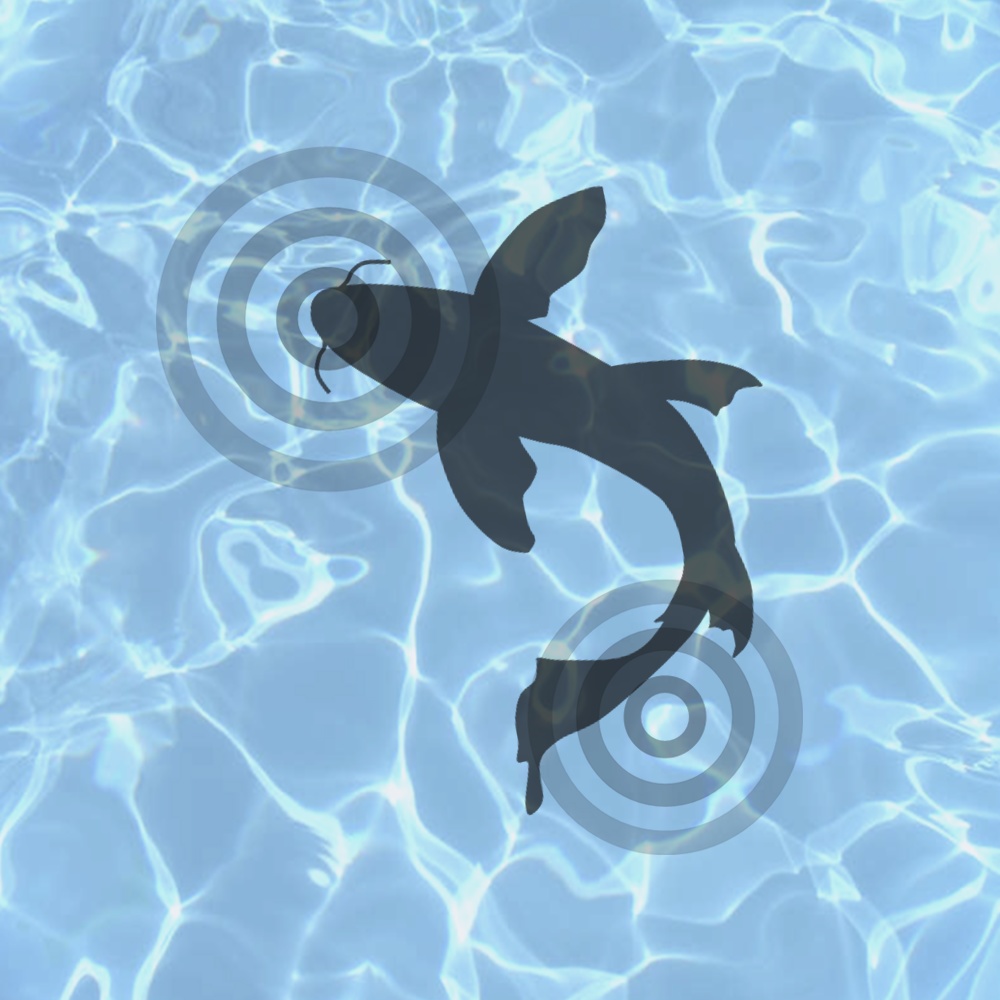 「DROP²」本体追加拡張セット