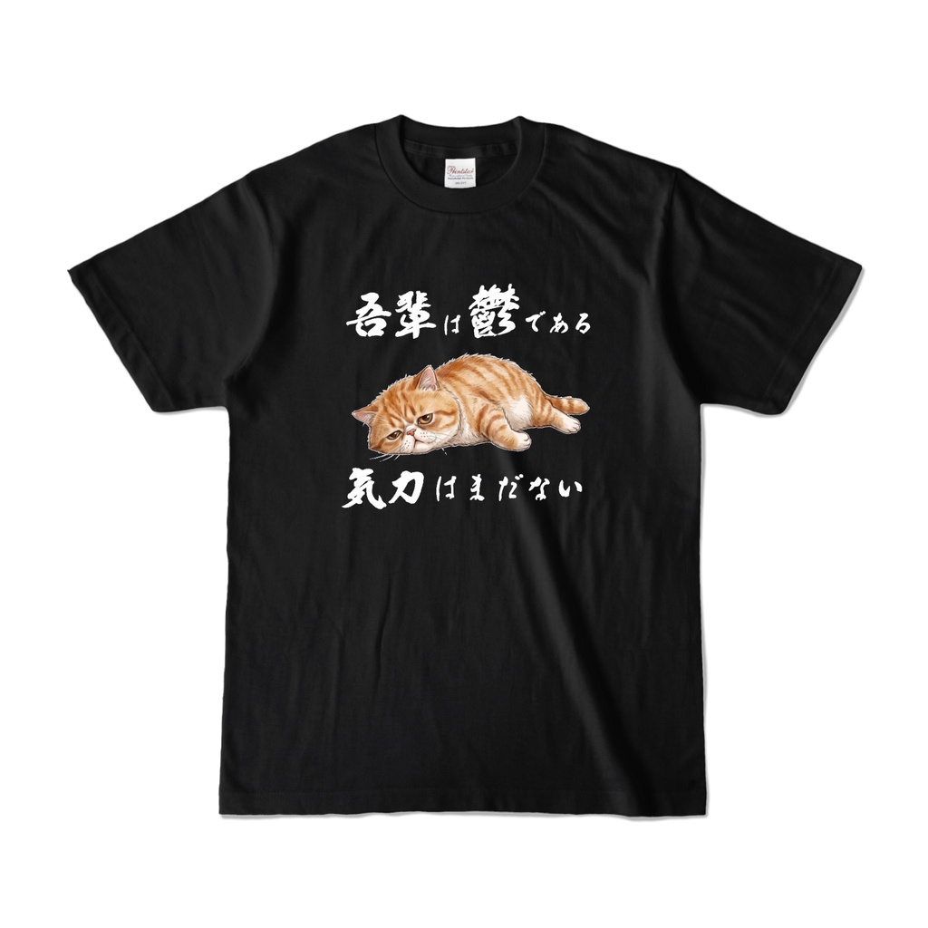 「吾輩は鬱である」〜うつねこパキちゃん〜