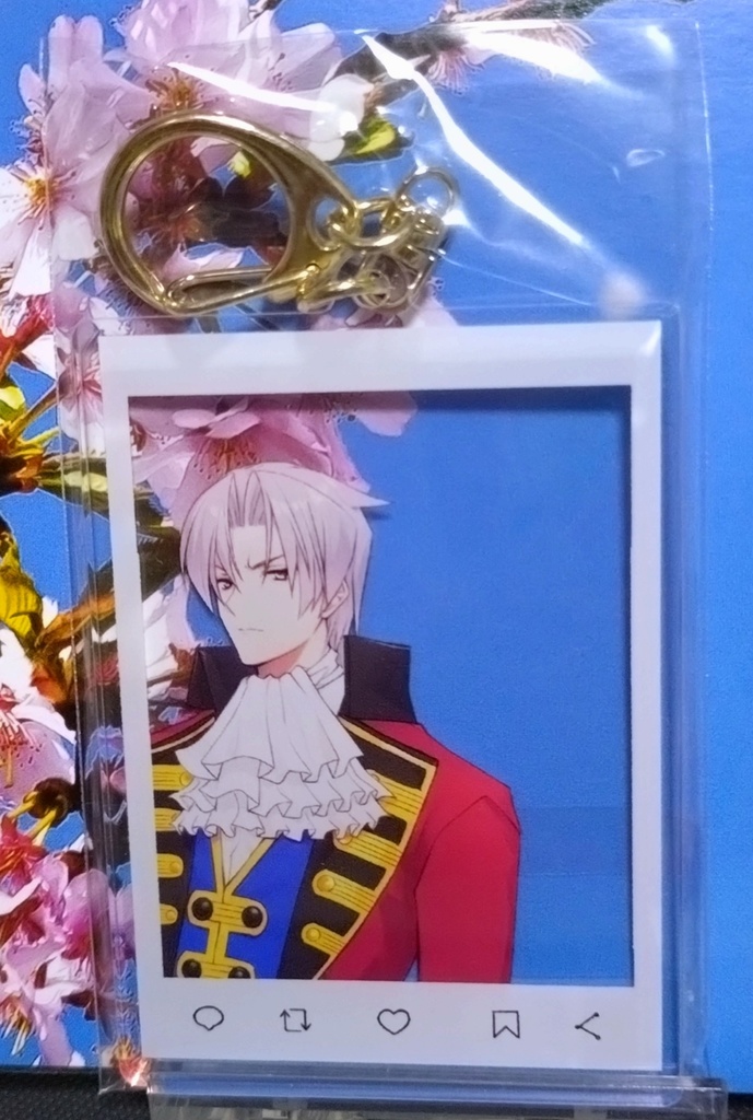 □匿名配送□ 逆転裁判 逆転検事 アクリルキーホルダー 御剣/美雲/冥 全3種類