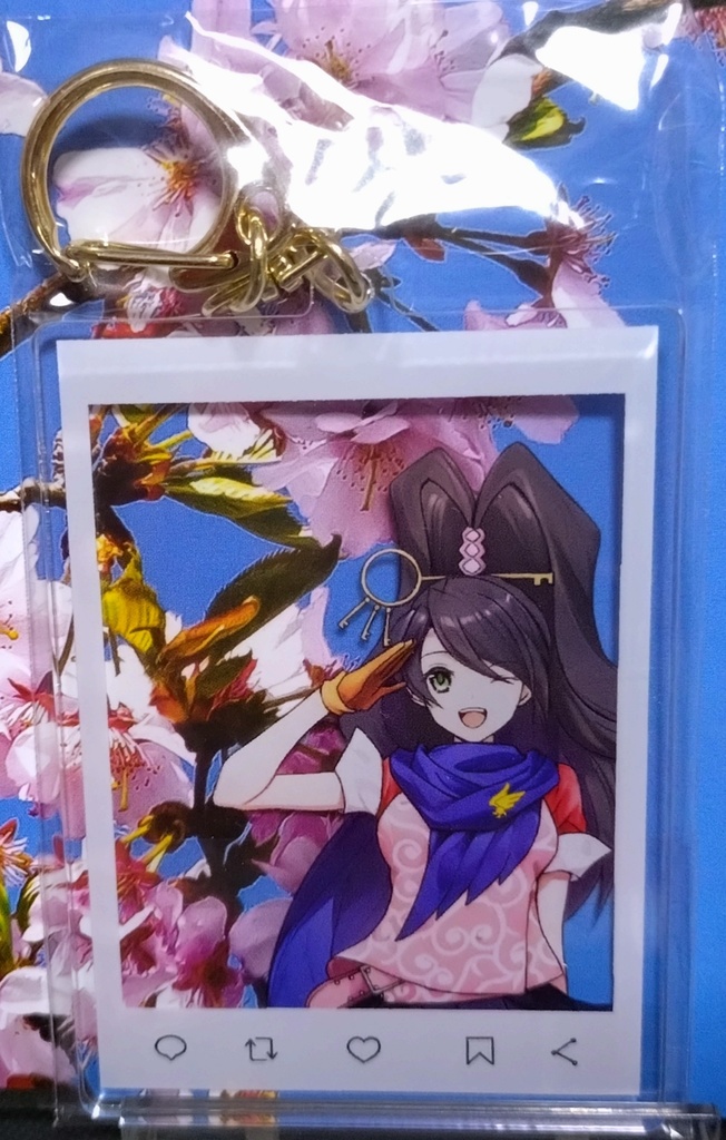 □匿名配送□ 逆転裁判 逆転検事 アクリルキーホルダー 御剣/美雲/冥 全3種類