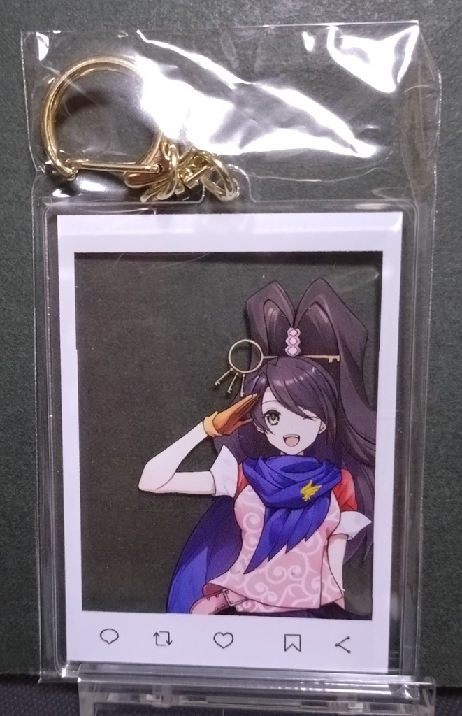 □匿名配送□ 逆転裁判 逆転検事 アクリルキーホルダー 御剣/美雲/冥 全3種類