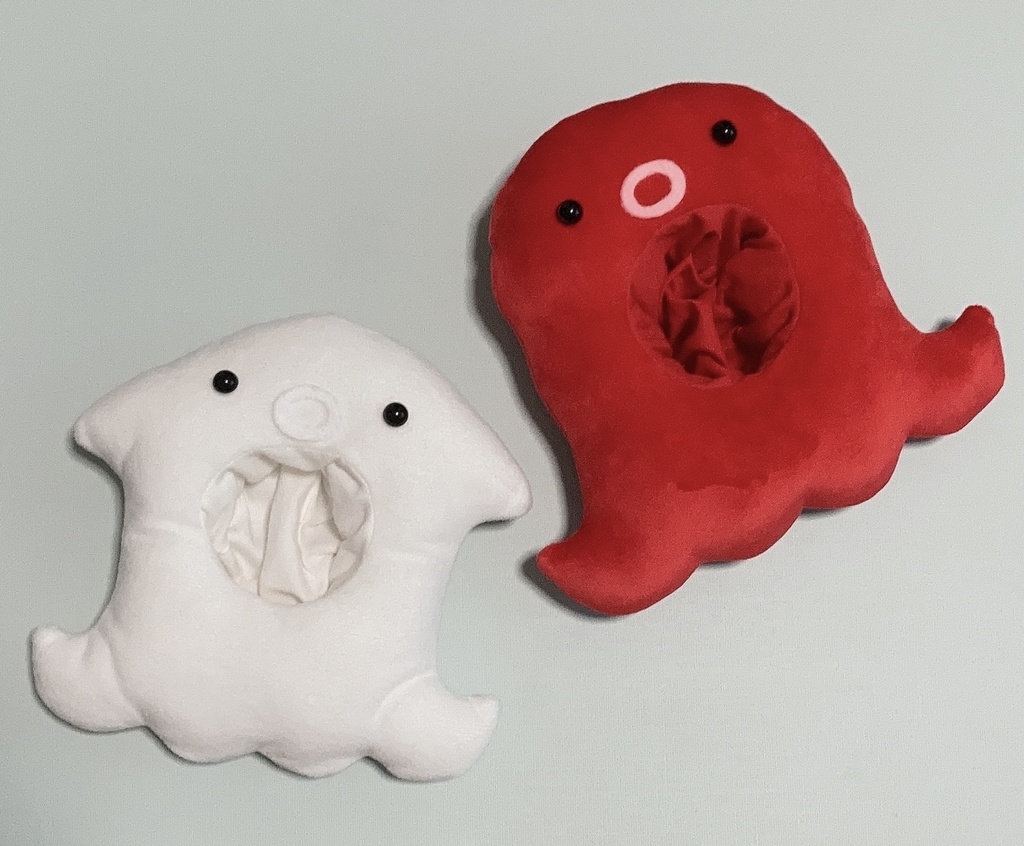 🐙軟体動物たちの着ぐるみ🦑
