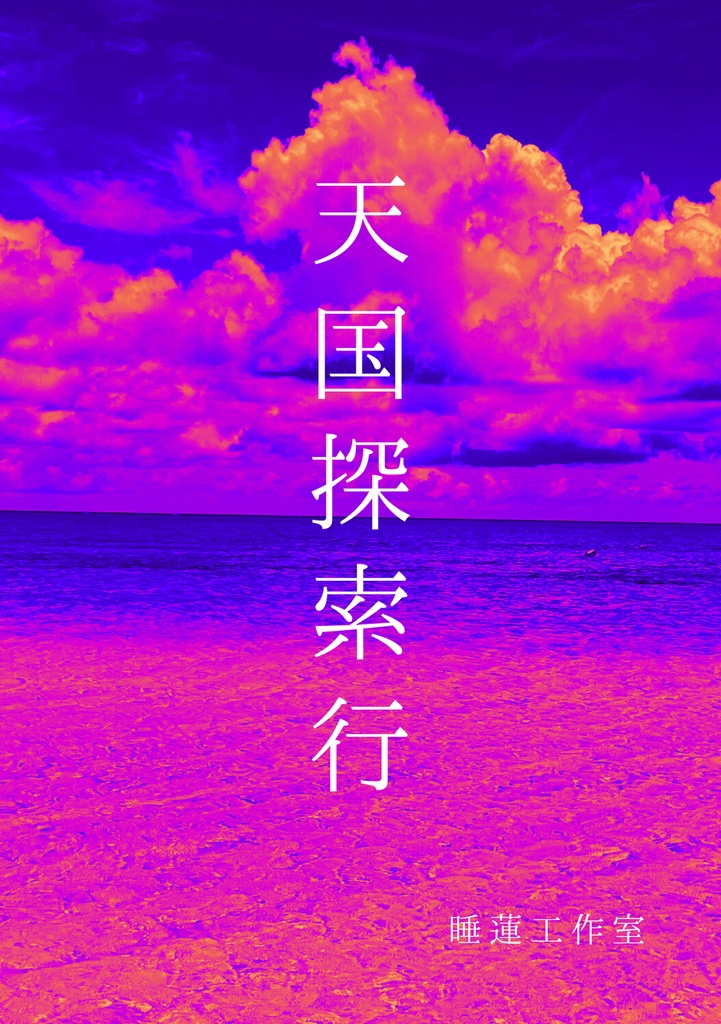天国探索行