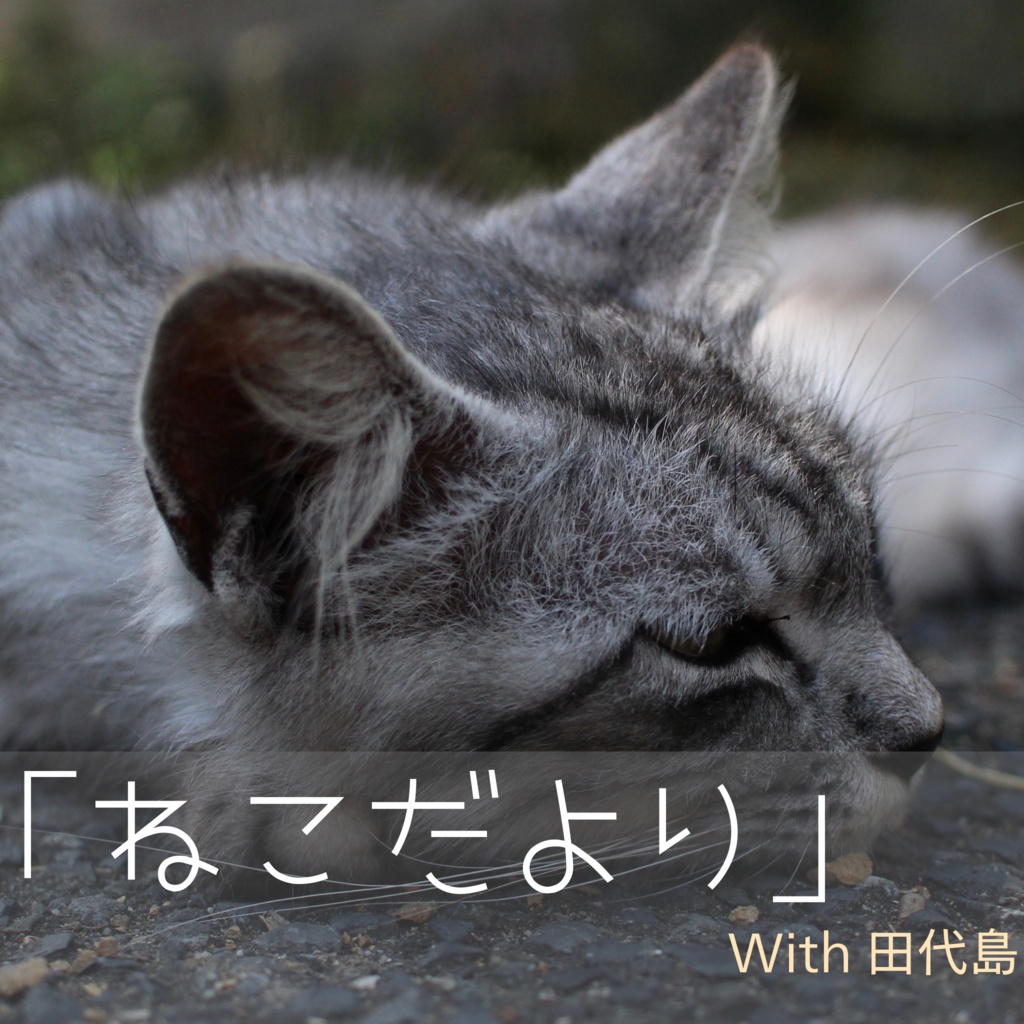 「猫だより」　スマホ壁紙