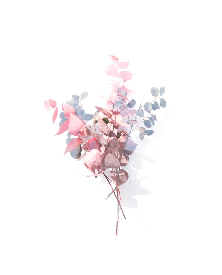 Pink leafs iPhoneケース - iPhone 8 / 7 - 正面印刷のみ