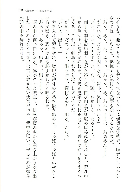 【匿名配送】保護猫ライフは恋の予感