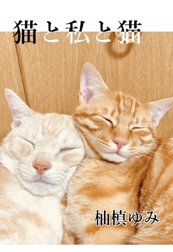 【匿名配送】猫と私と猫