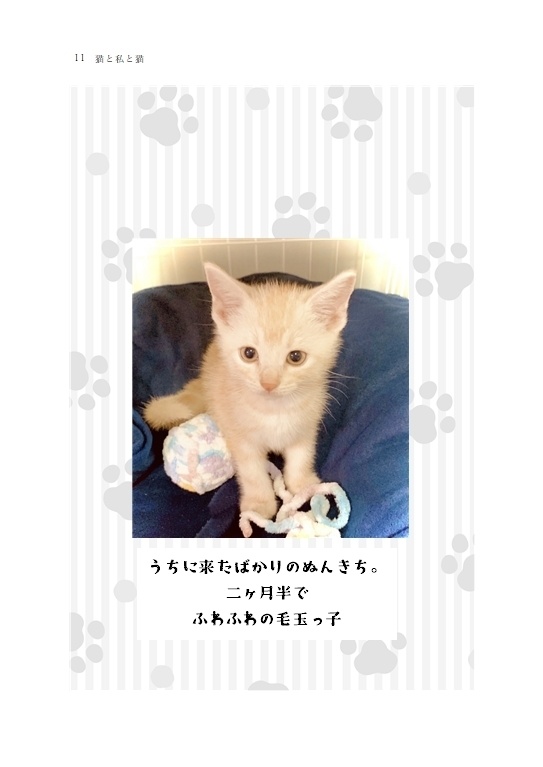 猫と私と猫
