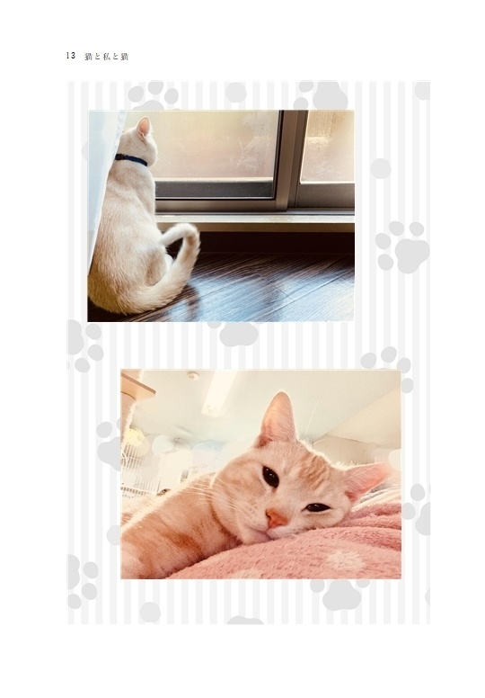 猫と私と猫