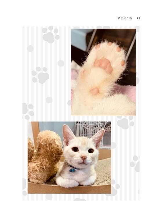 猫と私と猫