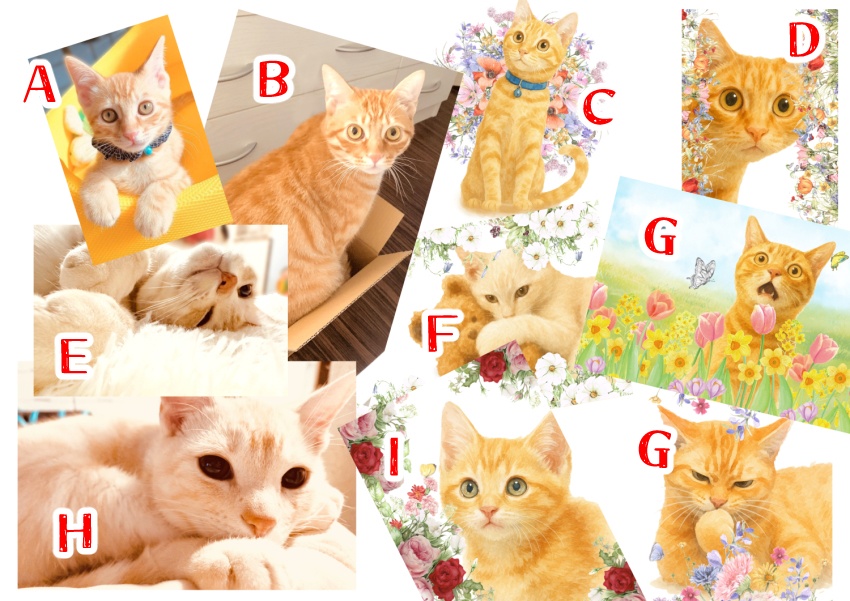 ねこねこポストカード