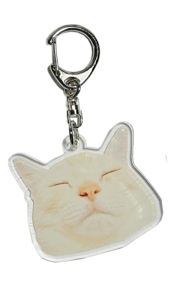 ねこねこ　アクリルキーホルダー　ぬ～ん