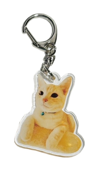 ねこねこ　アクリルキーホルダー　おすまし