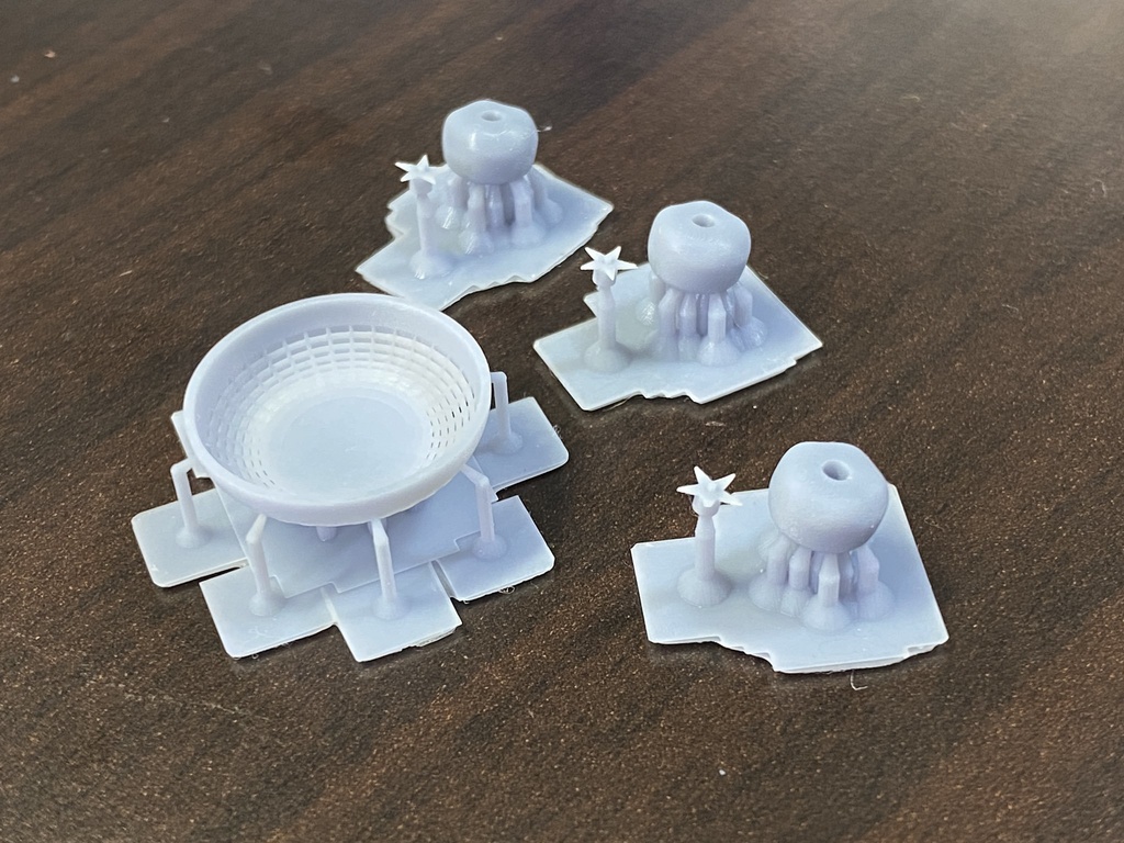 1/12 トマト&盛りザル