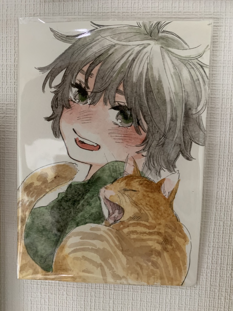 猫と私3