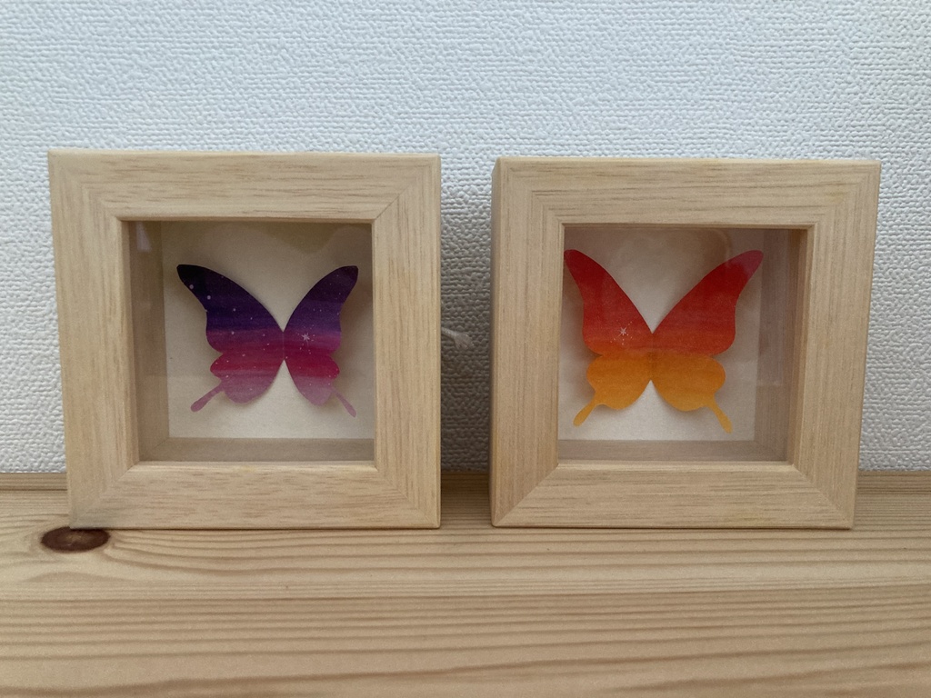 Stardust Butterfly 標本箱 左藤にしき