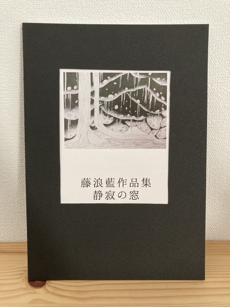 藤浪藍 作品集『静寂の窓』