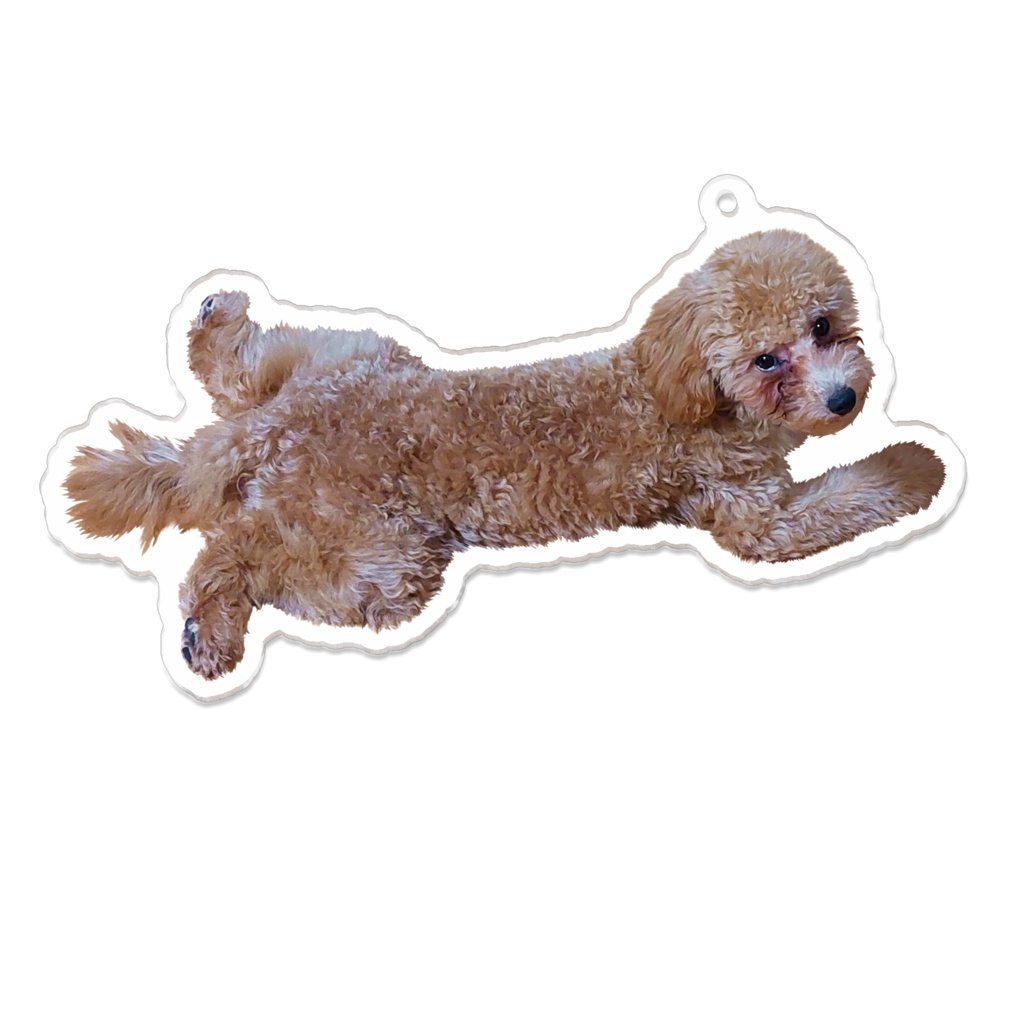 かず(５ヶ月の姿)