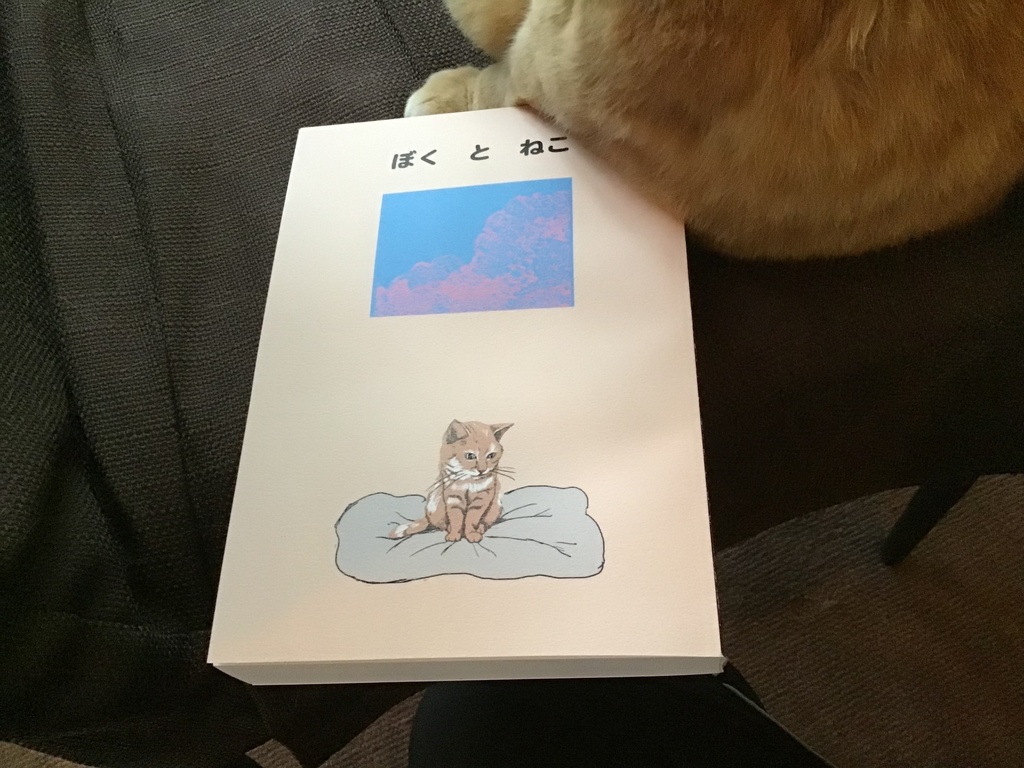 ぼくとねこ