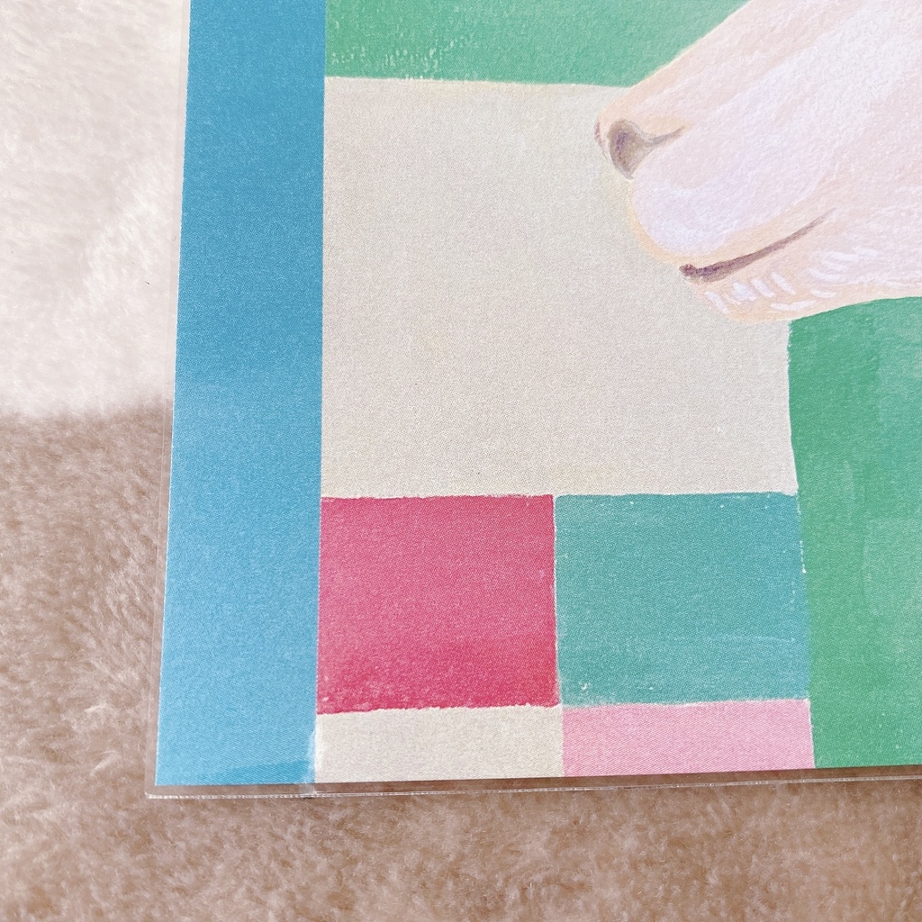 ろばぱかセット