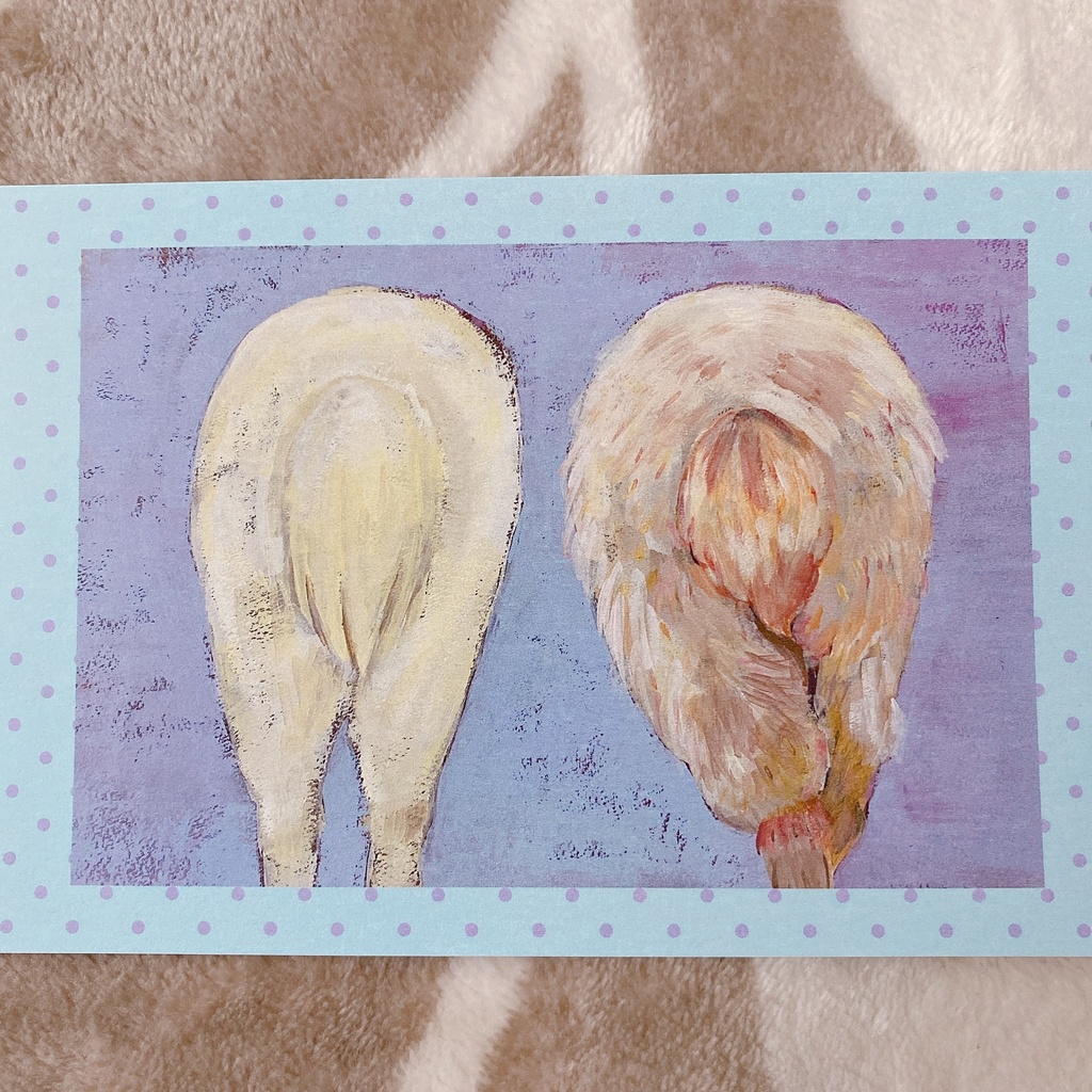 あるぱかセット