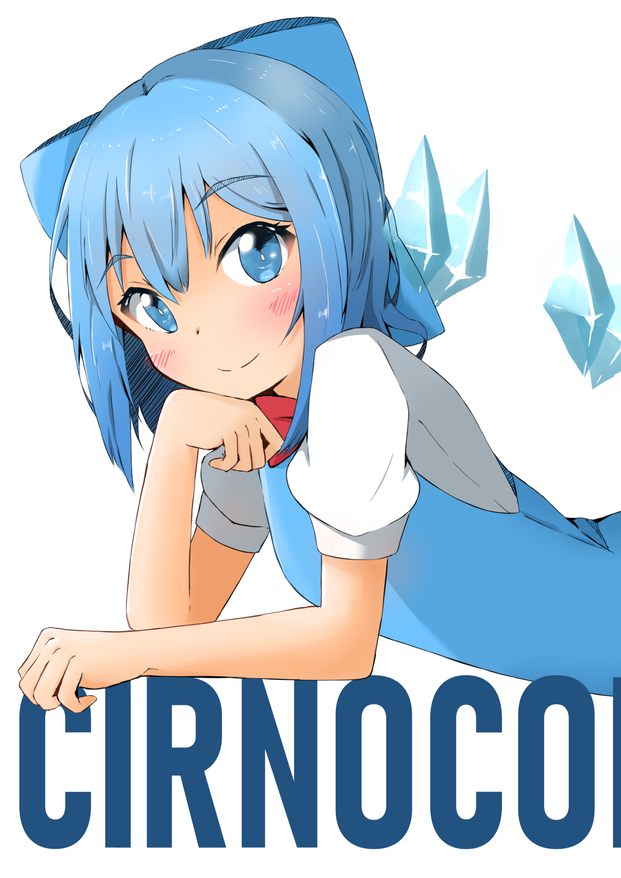 【紙書籍版】CIRNO COLLENCTION