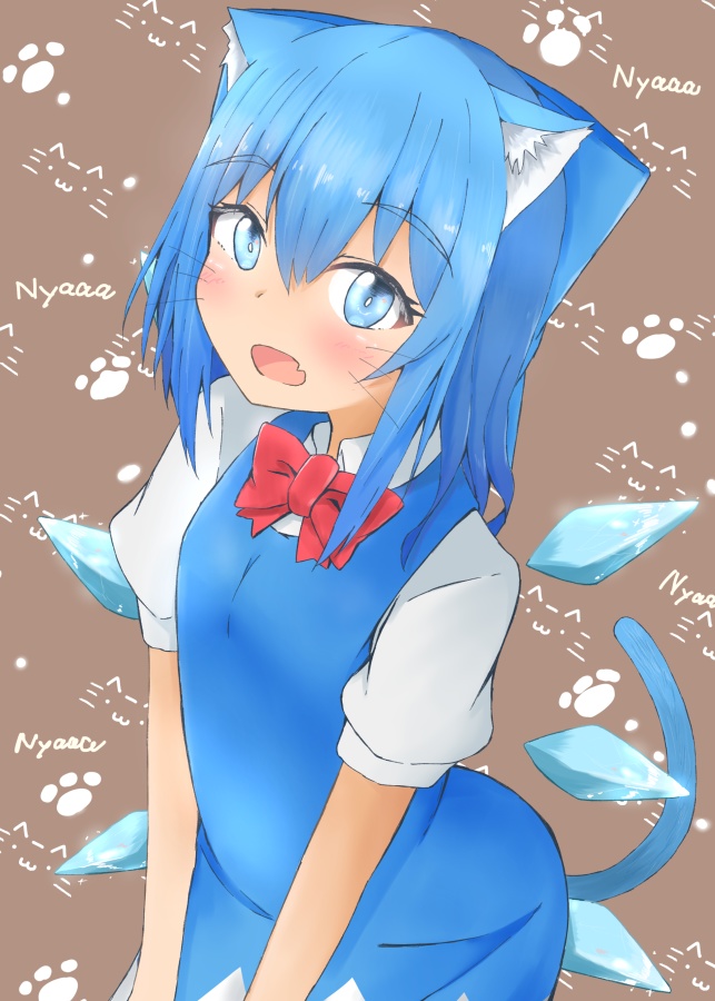 【紙書籍版】CIRNO COLLENCTION VOL.2