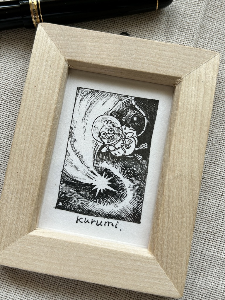 流れ星を観測💫