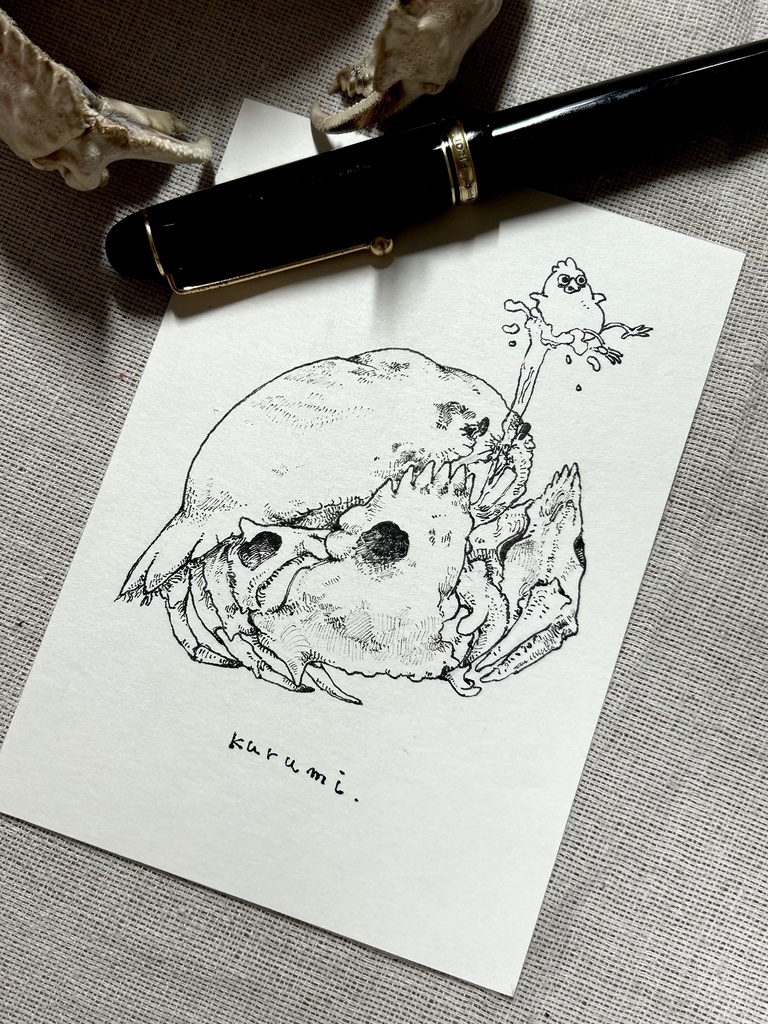 噴水カラッパ🦀