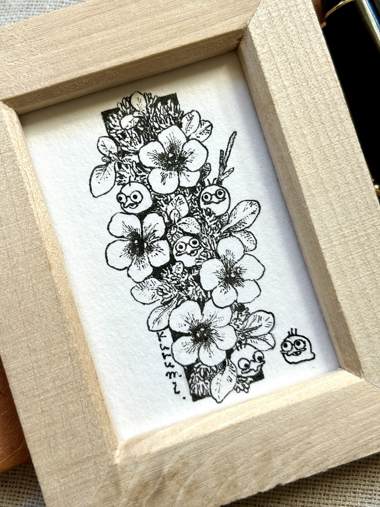 コドリが実ったよ